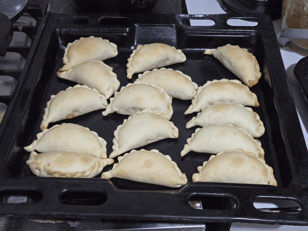 Docena de empanadas de tofu en bandeja